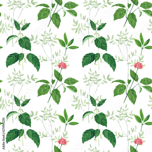 Seamless pattern of culinary and medicinal herbs. Watercolor botanical illust...