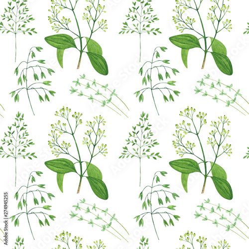 Seamless pattern of culinary and medicinal herbs. Watercolor botanical illust...