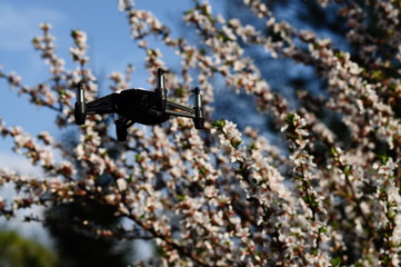 My TELLO drone on the background of felted cherries.