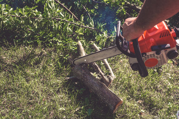 Woodcutter saws tree with chainsaw on sawmill