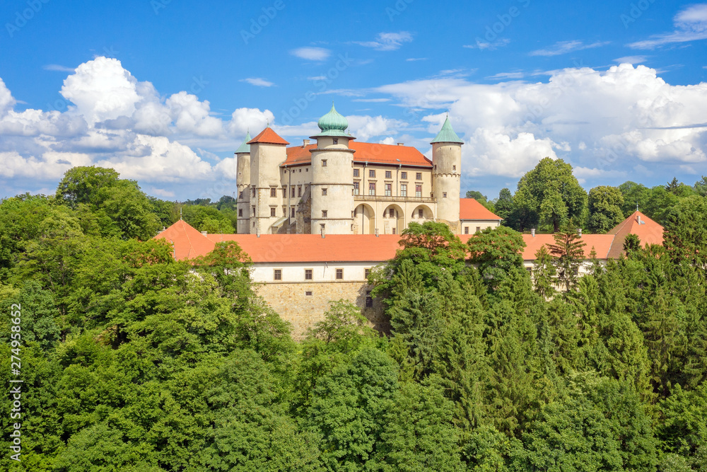 Wisnicz Castle - Poland - obrazy, fototapety, plakaty 