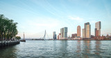Fototapeta  - Rotterdam, Netherlands