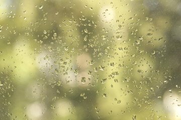 Wall Mural - rain water drops on window background closeup