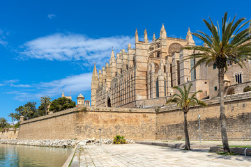 Wall Mural - Cathedral of Santa Maria of Palma under blue sky.