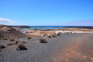 Wall Mural - Lanzarote saltworks salinas de Janubio colorful Canary Islands