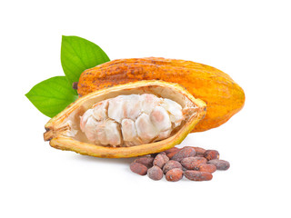 Sticker - Ripe cocoa bean  on white background