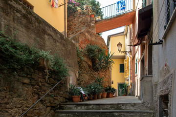  Riomaggiore in Cinque Terre, Italy. Beautiful streets with flowers. Summer cityscape