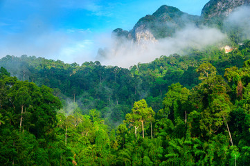 Wall Mural - Morning view of Mountain at Cheow Lan Dam (Ratchaprapa Dam) Surat Thani, Thailand