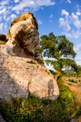 Shadows of two persons on a rock wall.