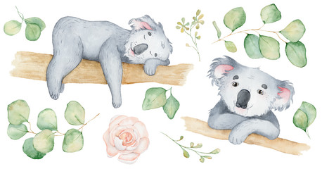 Wall Mural - Koala bear cute animal character watercolor illustration