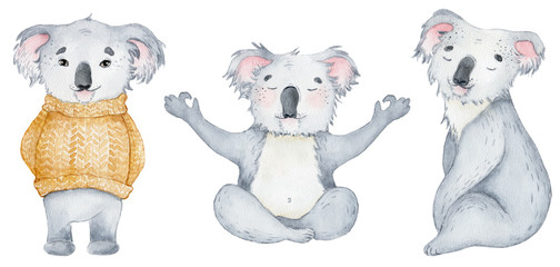 Wall Mural - Koala bear cute animal character watercolor illustration