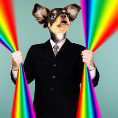 Wall Mural - Psychedelic collage combining a man in a suit and a dog's head. The character holds a rainbow in his hands and looks up. The mouth is open in surprise.