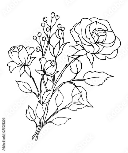 Black Lines Flower Rose Sketch Hand Drawing Floral Illustration