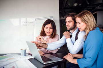 A group of business people sitting in an office, using laptop.