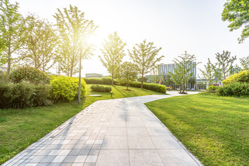 road in park