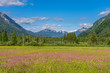 © Alexander - ettaler weidmoos in ammergauer alps, germany