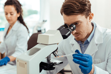 Wall Mural - pleasant bearded man studying a sample under the microscope