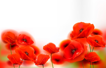 Poster - Red Poppy flowers background. Vector illustration