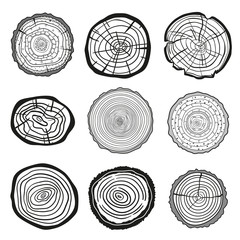 Wall Mural - Tree rings. Set of cross section of the tree. Line art. Outline for polygraphy, banners, posters and other. Black and white illustration for design