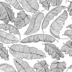 Seamless pattern of exotic, white banana leaves with a black outlines isolated on a transparent background.