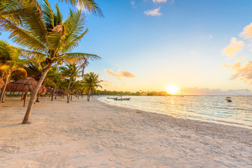 Wall Mural - Akumal bay - Caribbean white beach in Riviera Maya, coast of Yucatan and Quintana Roo, Mexico