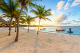 Fototapeta Zwierzęta - Akumal bay - Caribbean white beach in Riviera Maya, coast of Yucatan and Quintana Roo, Mexico
