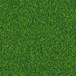 Grass seamless realistic texture. Green lawn, field or meadow vector background. Summer or spring nature illustration