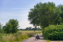 Outdoor Sunny View Of Cyclist Ride A Recumbent Bike On Small Road In Suburb Area Surrounded With Agricultural Field With Fresh Growing Green Wheat Field In Summer Season Against Blue Sky In Germany.