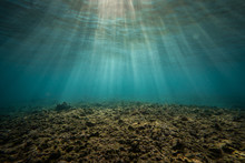 Underwater Sunr Rays