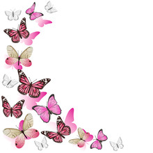Frame Of Pink Butterflies In Flight. Isolated On White Background. Vector Graphics.