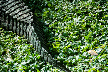 Wall Mural - zoologico de Pereira 