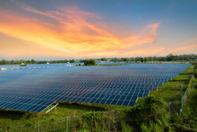 Solar Panels (solar Cell) In Solar Farm With Blue Sky