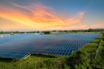 solar panels (solar cell) in solar farm with blue sky