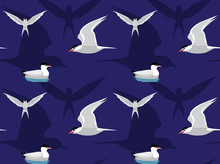 Bird Tern Set Cartoon Seamless Wallpaper