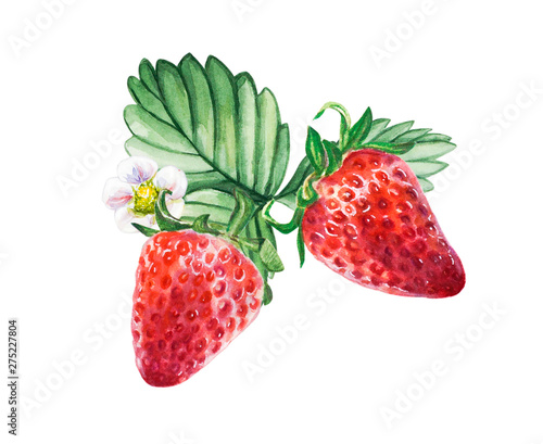 Watercolor red juicy strawberries with leaves and flower. Food background, pa...