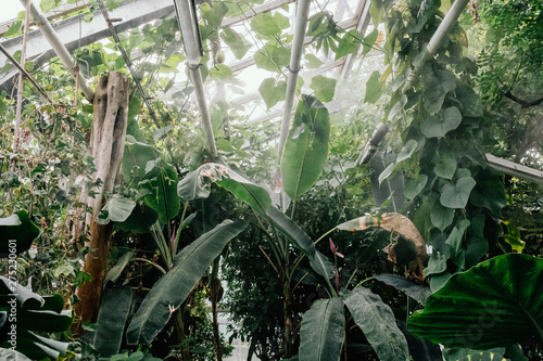 Botanischer Garten Greifswald Im Juni 2019 Buy This Stock Photo