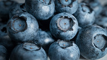 Blueberry Background Macro Image Of Ripe Blueberry Berries. Berry Background.