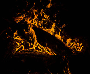 Wall Mural - bright orange languages of a fire on wooden logs at night. wood on fire. bonfire at night. campfire. beautiful flame on black background. fire on black background. burning wood . beautiful fire textur