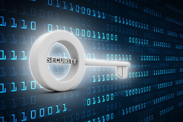 house protection key. 3d illustration