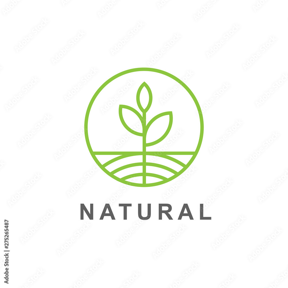 Green leaves and root sprout logo vector illustration Stock Vector ...