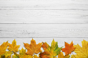 Autumn border with leaves on white wood background.