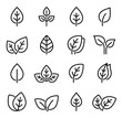 set of line leaf icons