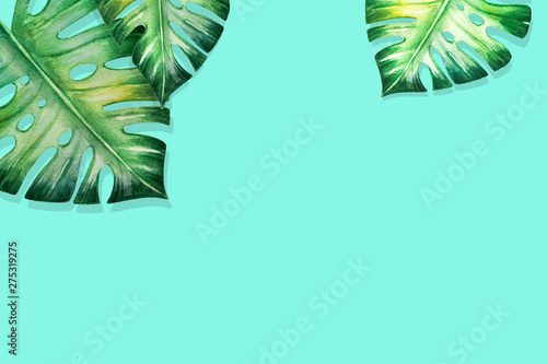 Beautiful frame of tropical leaves. Monstera, palm. Watercolor painting. Exot...