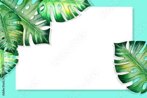 Beautiful frame of tropical leaves. Monstera, palm. Watercolor painting. Exot...