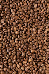 Coffee Bean Background