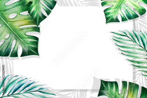 Beautiful frame of tropical leaves. Monstera, palm. Watercolor painting. Exot...