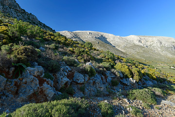 Sticker - κάλυμνος, kalymnos, natur, dodekanes