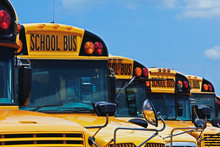 Yellow School Buses Parked Diagonally