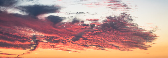 Wall Mural - Panoramic view of deep red purple altocumulus clouds at sunset