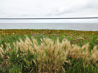 California's picturesque natural landscape off the coast of the Pacific Ocean, USA